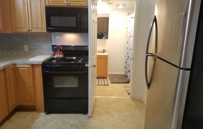 3 beds, 1 bath, $3,100