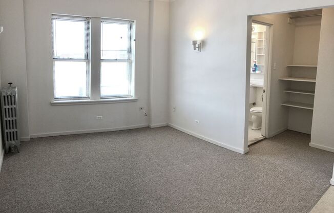 Studio, 1 bath, 233 sqft, $1,100, Unit 412