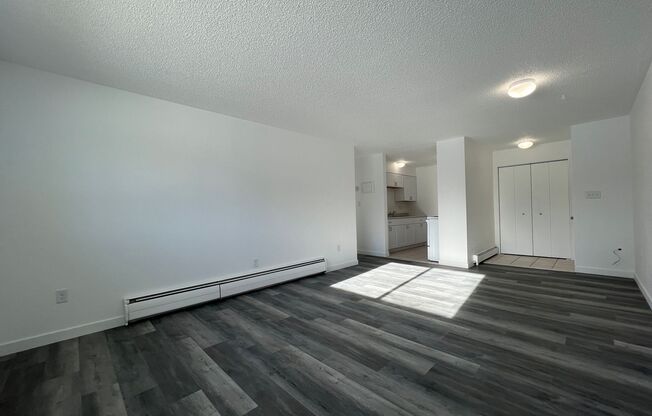 1 bed, 1 bath, 500 sqft, $995, Unit 2