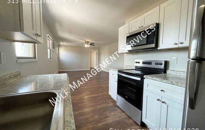 313 Mill Street - Apt 7