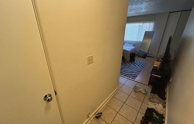 Studio, 1 bath, $750, Unit 310