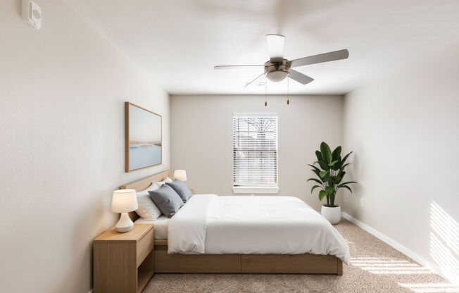 Lockhart Apartment Homes