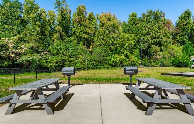 two picnic tables in a park with two bbq pits