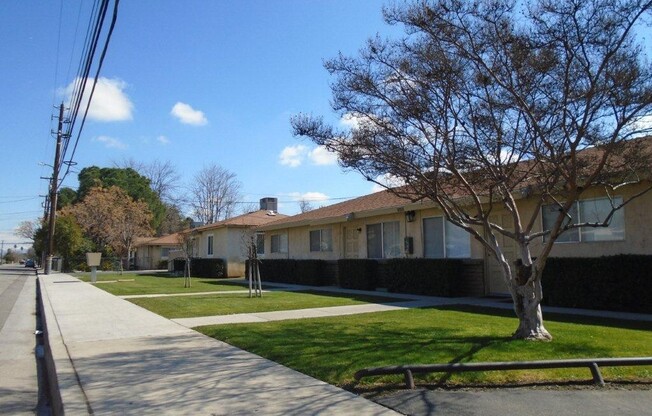 PALM ST 2231 A-L