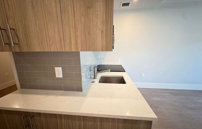 1 bed, 1 bath, $3,000, Unit 419