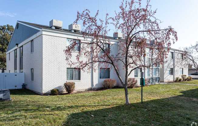 A white house with a tree in front of it.