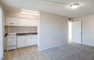 1 bed, 1 bath, 463 sqft, $1,350, Unit B9