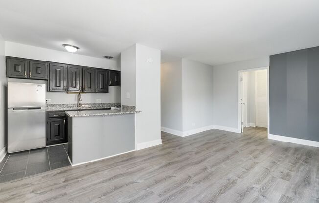 Studio, 1 bath, 336 sqft, $1,495, Unit 505