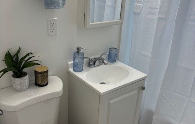 1 bed, 1 bath, 700 sqft, $1,950, Unit 7681-16
