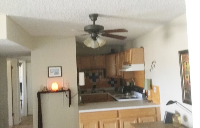 Spacious Modern Condo in Gunbarrel