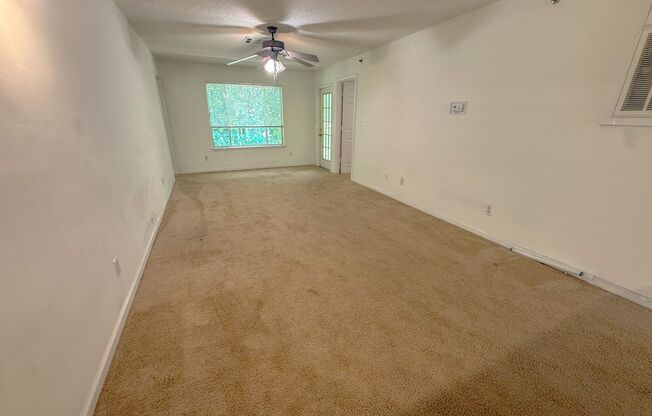 Top floor 4 bed 4 bath condo! On Wolfline, perfect for roommates!