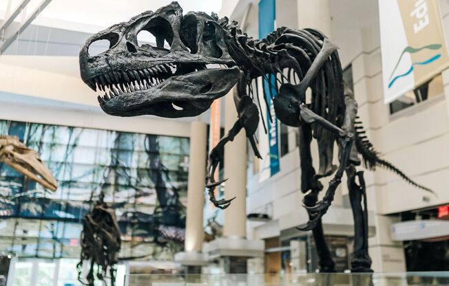 3 beds, 2 baths, 1,281 sqft, $1,284