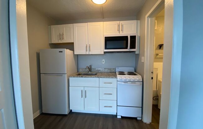 Studio, 1 bath, 500 sqft, $850, Unit 253