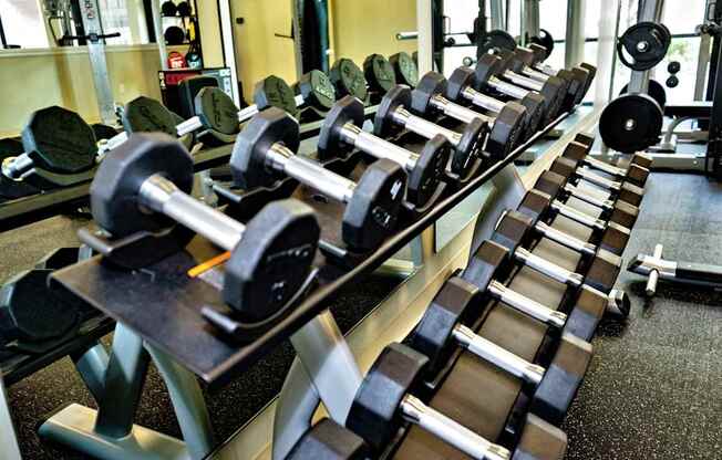 A gym with a row of dumbbells and weight plates.at Carson Street Towers, Overland Park, 66223
