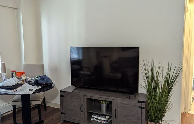 1 bed, 1 bath, 570 sqft, $2,850, Unit 401