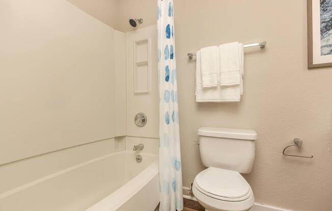 Carrington Sleek Bathroom at Madison Landing at Research Park Apartments in Madison, AL