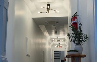 1 bed, 1 bath, 600 sqft, $1,150, Unit Unit 312