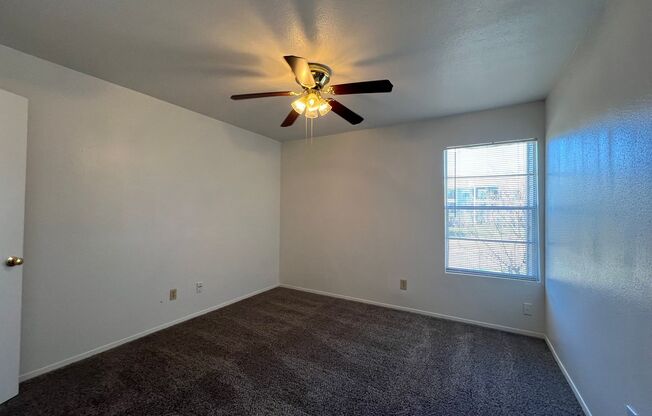 1 bed, 1 bath, 660 sqft, $1,000, Unit 1206