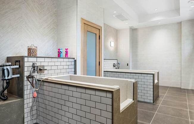 Modern pet washing room with elevated grooming tubs and durable tile finishes