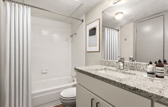 a bathroom with a sink and a toilet and a shower at South Lamar Village, Texas