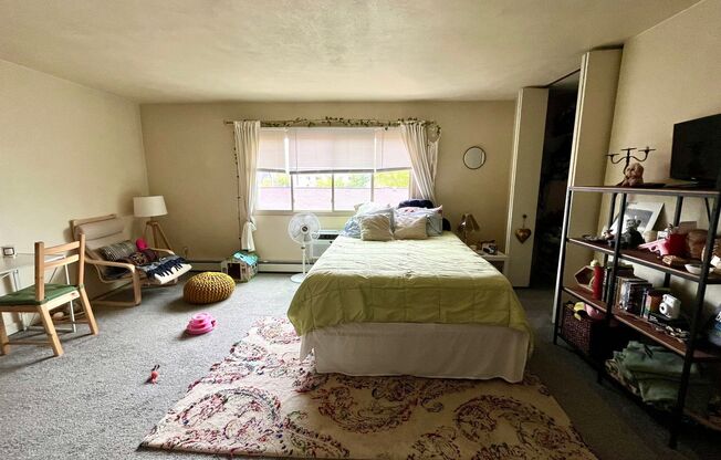 Studio, 1 bath, $750, Unit 305