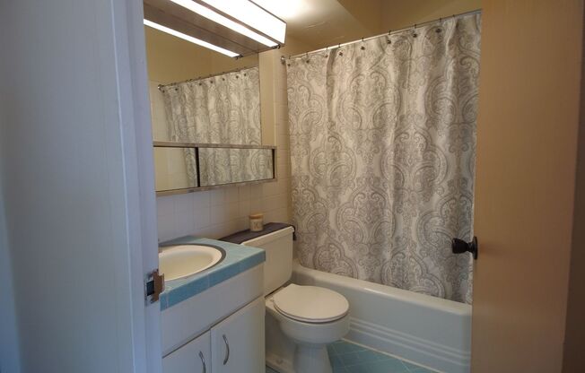 1 bed, 1 bath, 620 sqft, $1,055, Unit 209