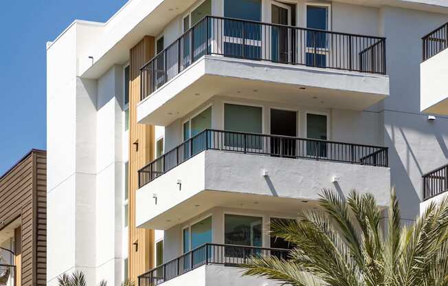 A tall white building with balconies and windows is surrounded by palm trees. at Elements Apartments*, Irvine, California