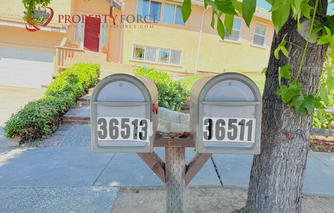 Brand New 2BR ADU w/ Most Utilities Included – Prime Fremont Location!