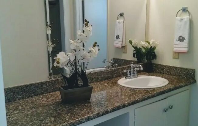 366 - 3002 Magliocco Dr