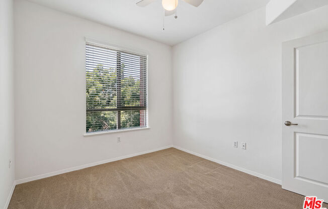 1 bed, 1 bath, 910 sqft, $2,900, Unit 355