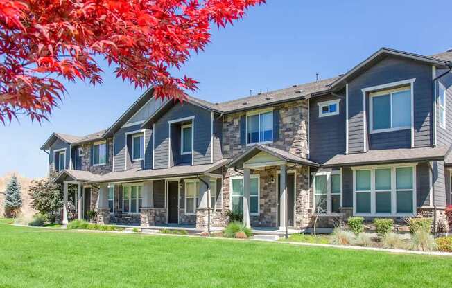 Green Grass by Homes at San Tropez