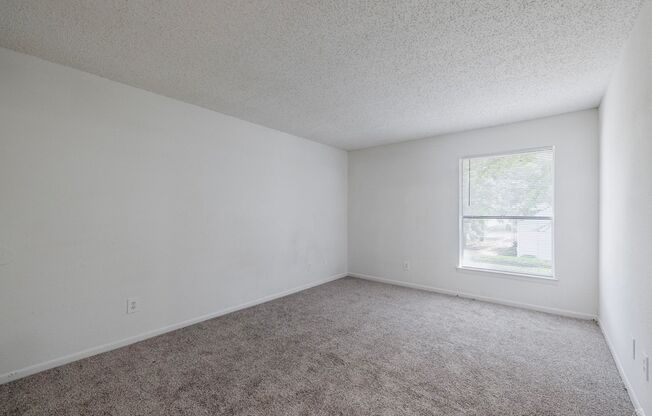 2 beds, 2 baths, 1,016 sqft, $1,195, Unit 2-13B