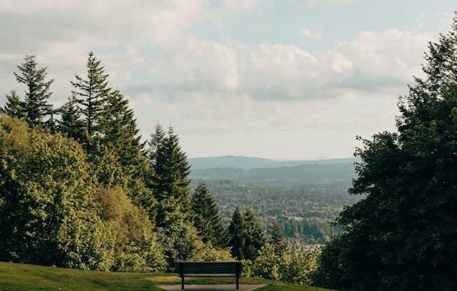 a park bench on a hill with a view of the city