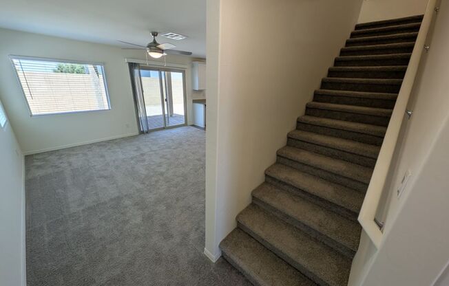 4935 TOAD LILY ST