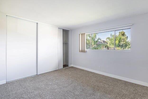 A room with a carpeted floor, a window, and a sliding door.