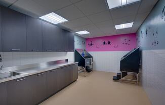 a kitchen with a sink and a counter and a pink wall