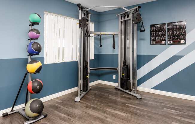 a gym with weights and cardio equipment in a home with blue walls