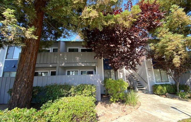 877 Cherry Creek Cir