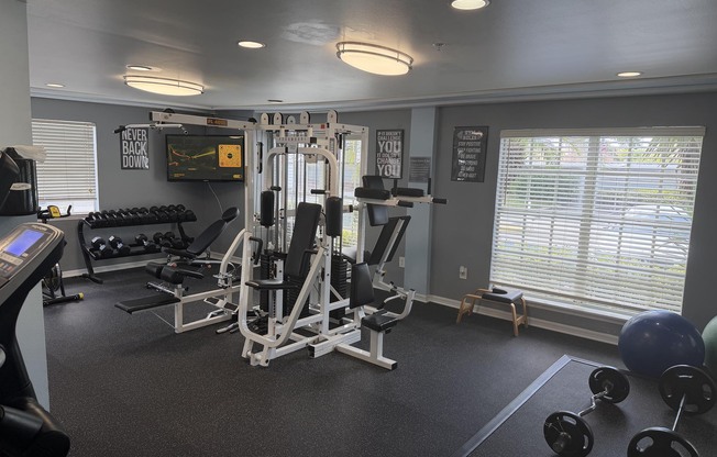 A modern gym interior featuring various exercise equipment. There's a weightlifting machine, free weights on a rack, a treadmill, and a stability ball. Large windows allow natural light, and motivational posters adorn the walls. A television mounted on the wall displays workout instructions or entertainment.