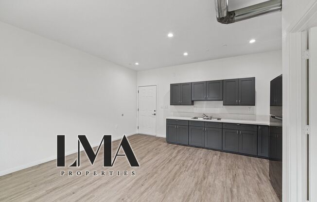 Studio, 1 bath, 500 sqft, $1,238, Unit 206