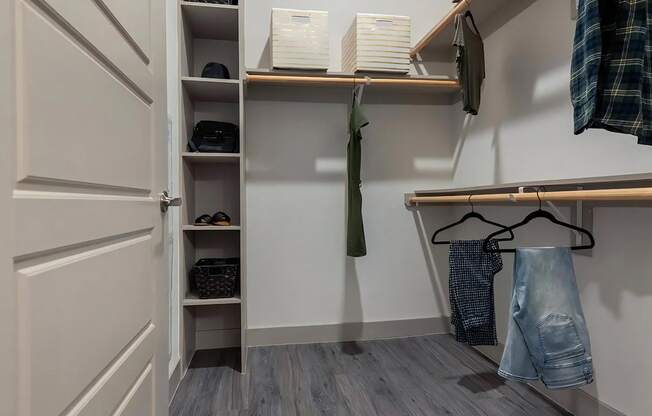 Walk In Closet with Built In Shelves