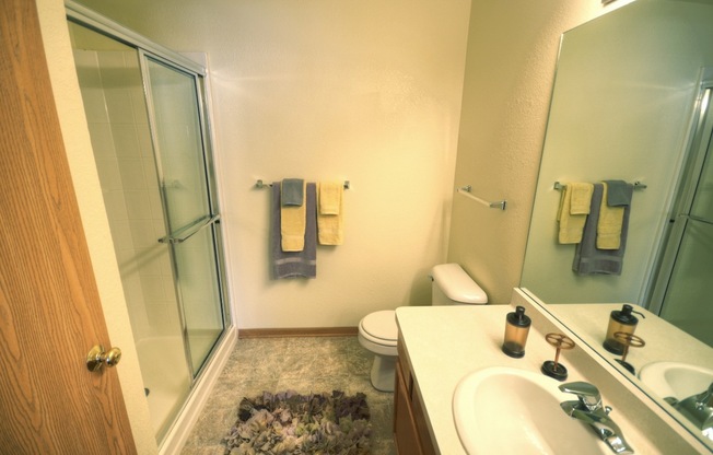 a bathroom with a shower toilet and sink and a mirror