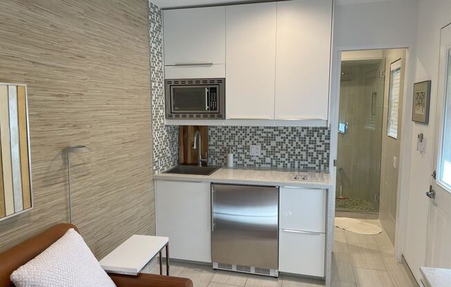 Studio, 1 bath, 250 sqft, $1,250, Unit Unit 8