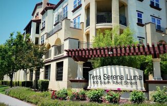 Beautiful 1/1 Condo in Terra Serena Luna Community