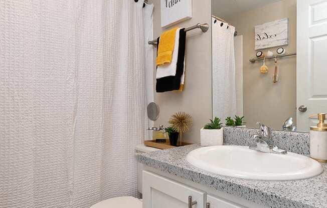 Full Sized Bathroom with Hardwood Style Flooring and White Vanity with Stainless Steel Hardware