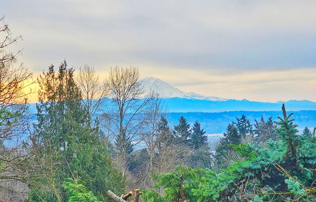 Charming 3 Bed 1.25 Bath Home in Skyway with a great view of Mt Rainier