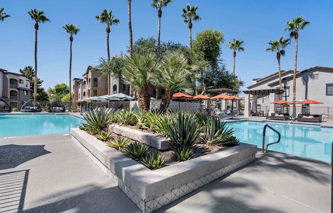 A pool surrounded by palm trees and plants. at Lazo Apartment Homes, Chandler, 85225