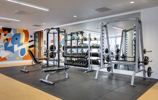 A gym with a variety of equipment including weights and weight machines.