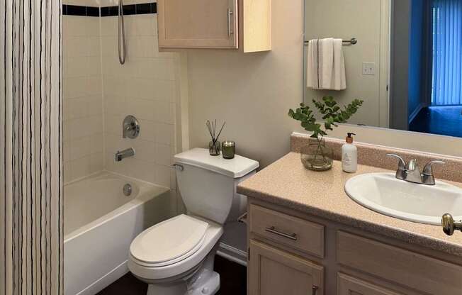 A white toilet sits next to a sink in a bathroom.