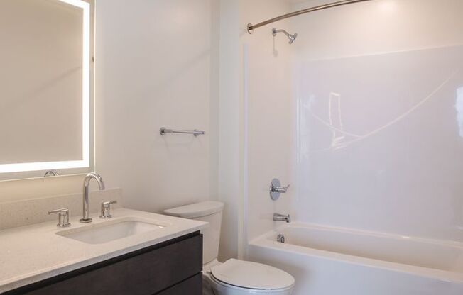 Studio, 1 bath, 469 sqft, $1,175, Unit APT 209